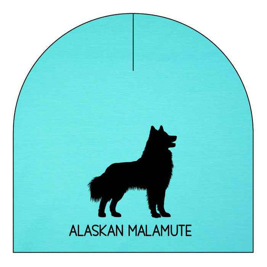 Alaskan malamute - valfri färg