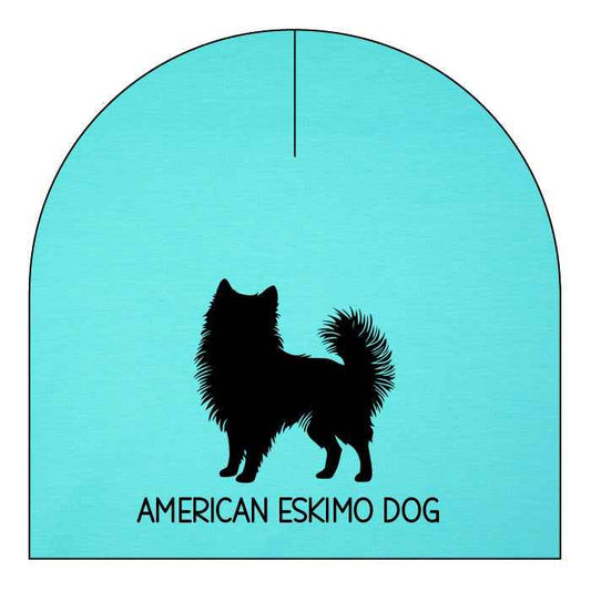 American eskimo dog - valfri färg