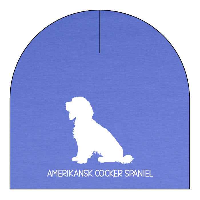 American cocker spaniel - valfri färg