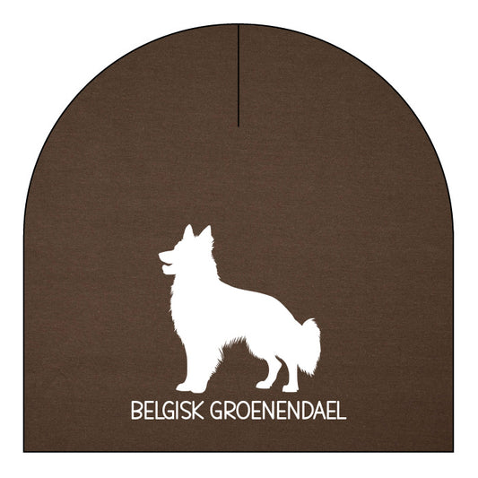 Belgisk groenendael - valfri färg