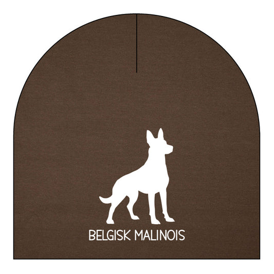 Belgisk malinois - valfri färg