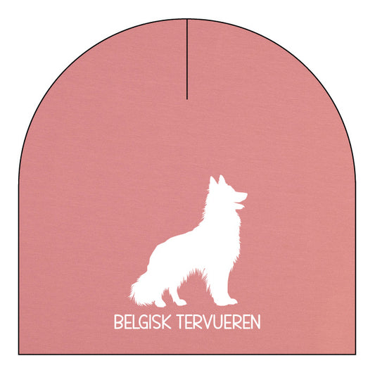 Belgisk tervueren - valfri färg