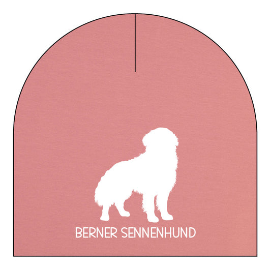 Berner sennenhund - valfri färg