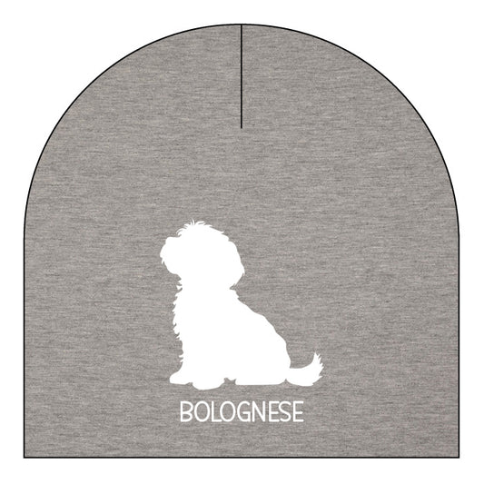 Bolognese - valfri färg