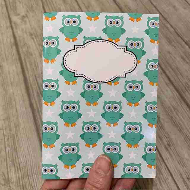 Mint ugglor - anteckningsbok A5 - Lilofant Design