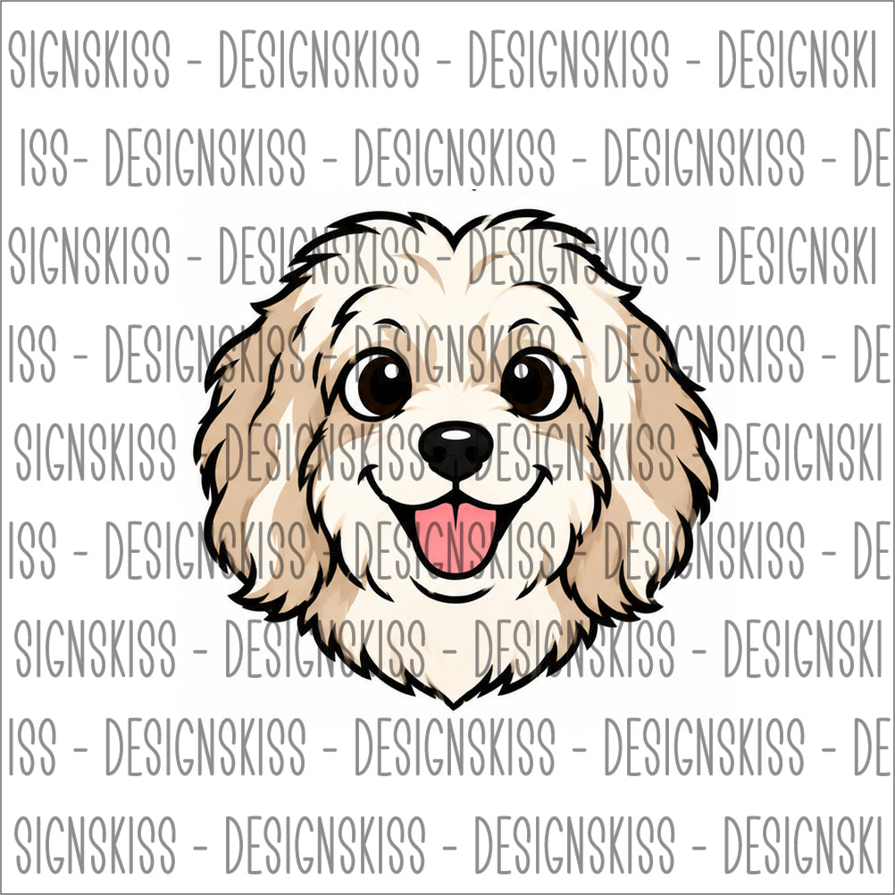 Bichon Havanais - bricka