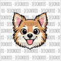 Chihuahua långhårig - bricka