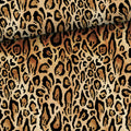 Leopard (college)