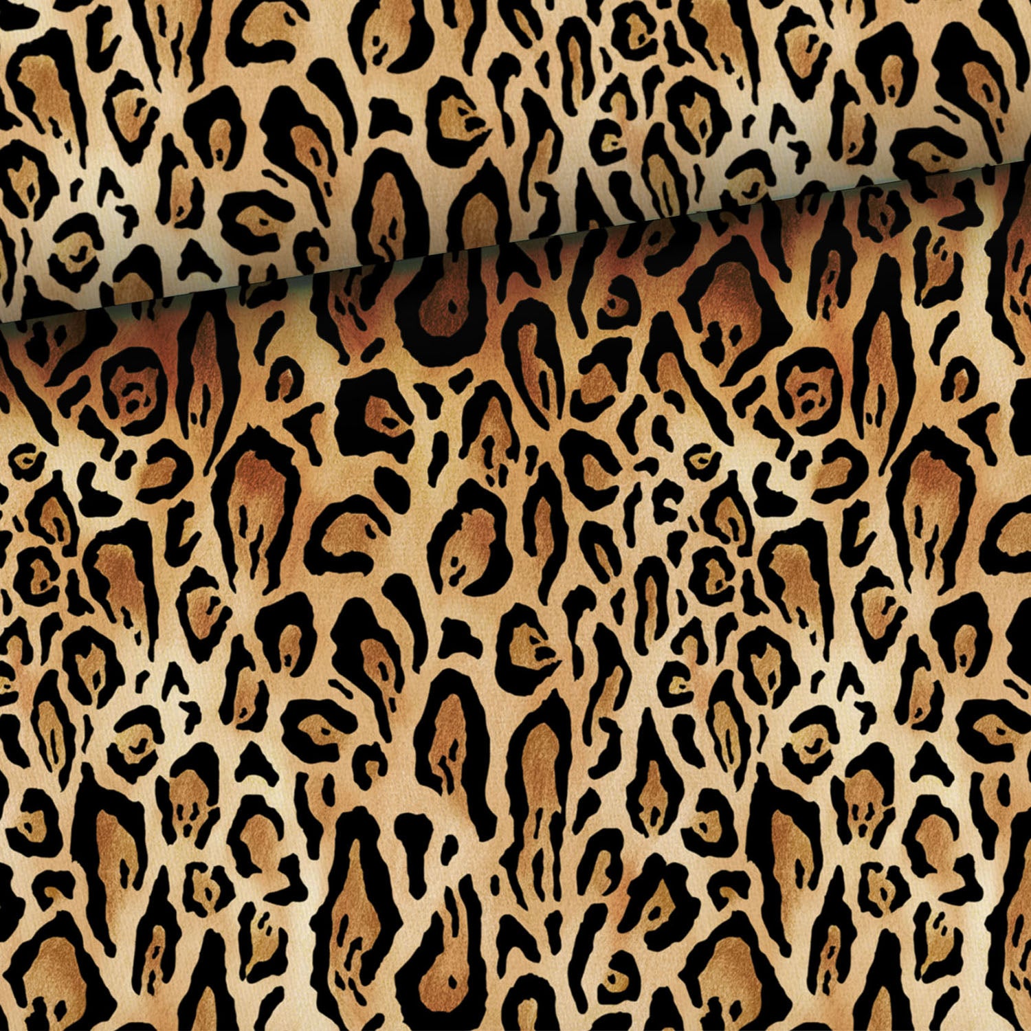 Leopard (college)