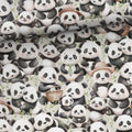 Pandor (jersey)