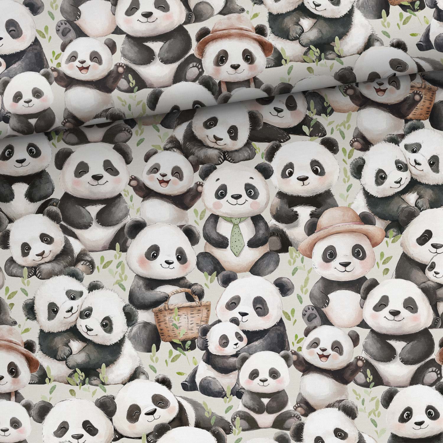 Pandor (jersey)