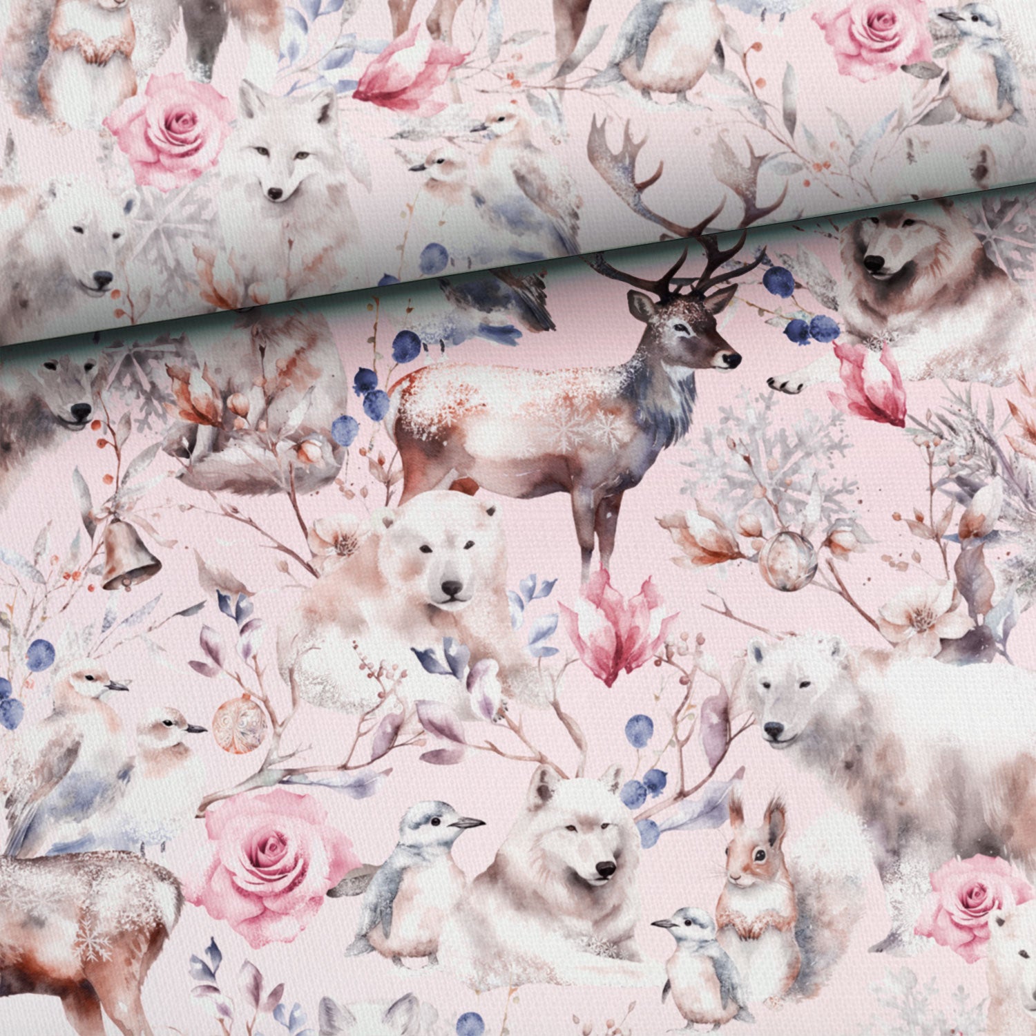 Rosa frost (jersey)